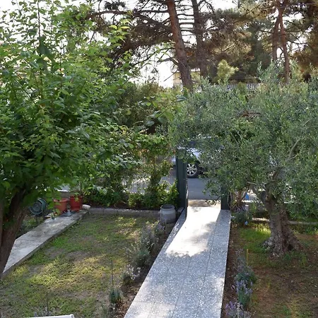 Tim's House *